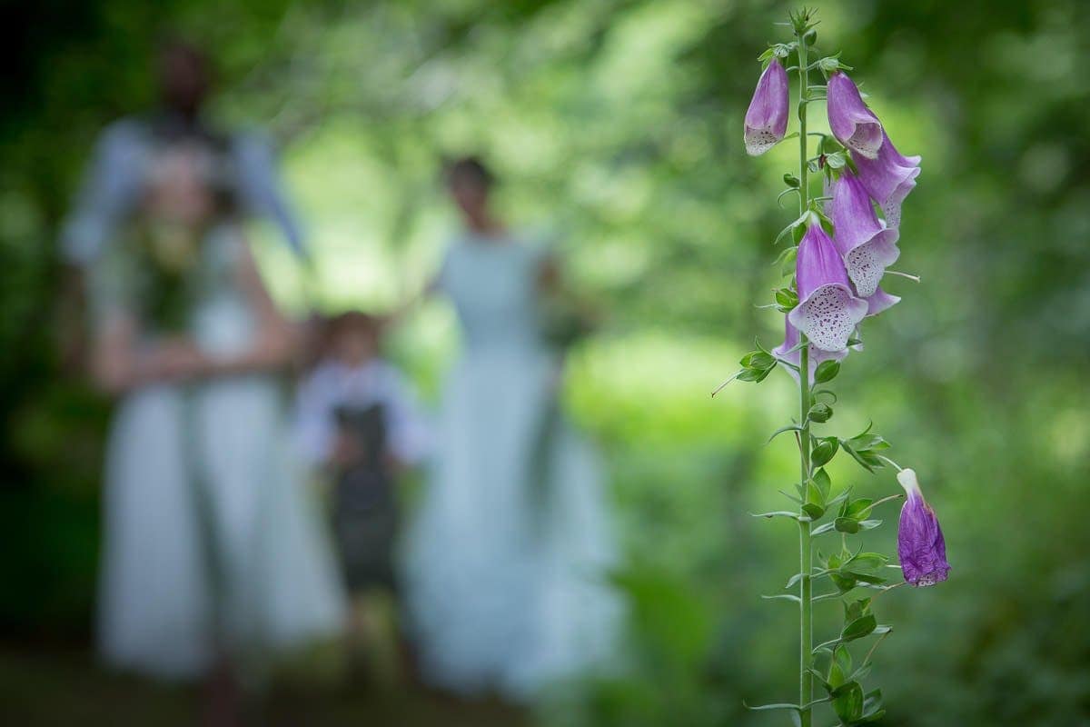 fee+steve-streamcombe-farm