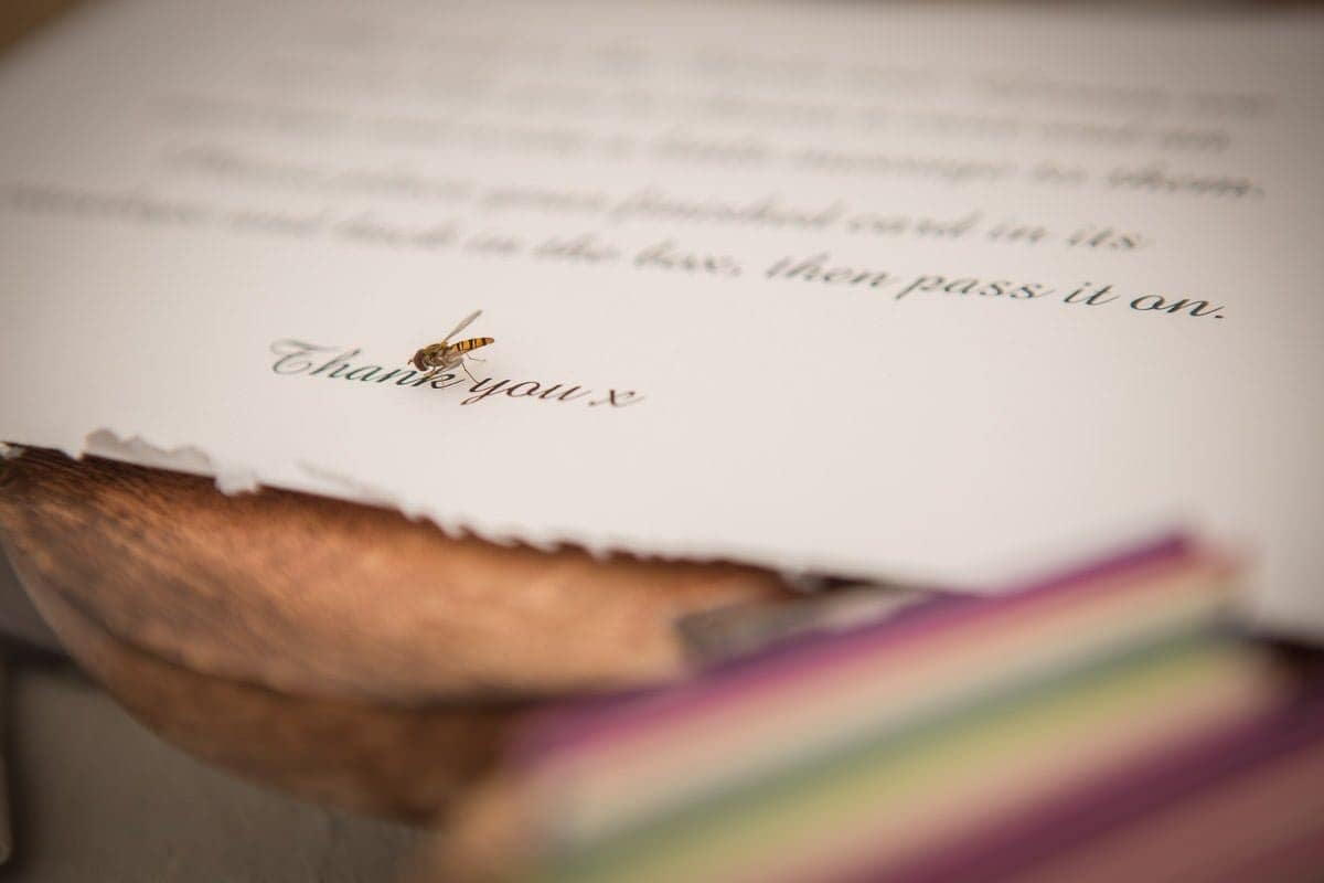 fee+steve-streamcombe-farm