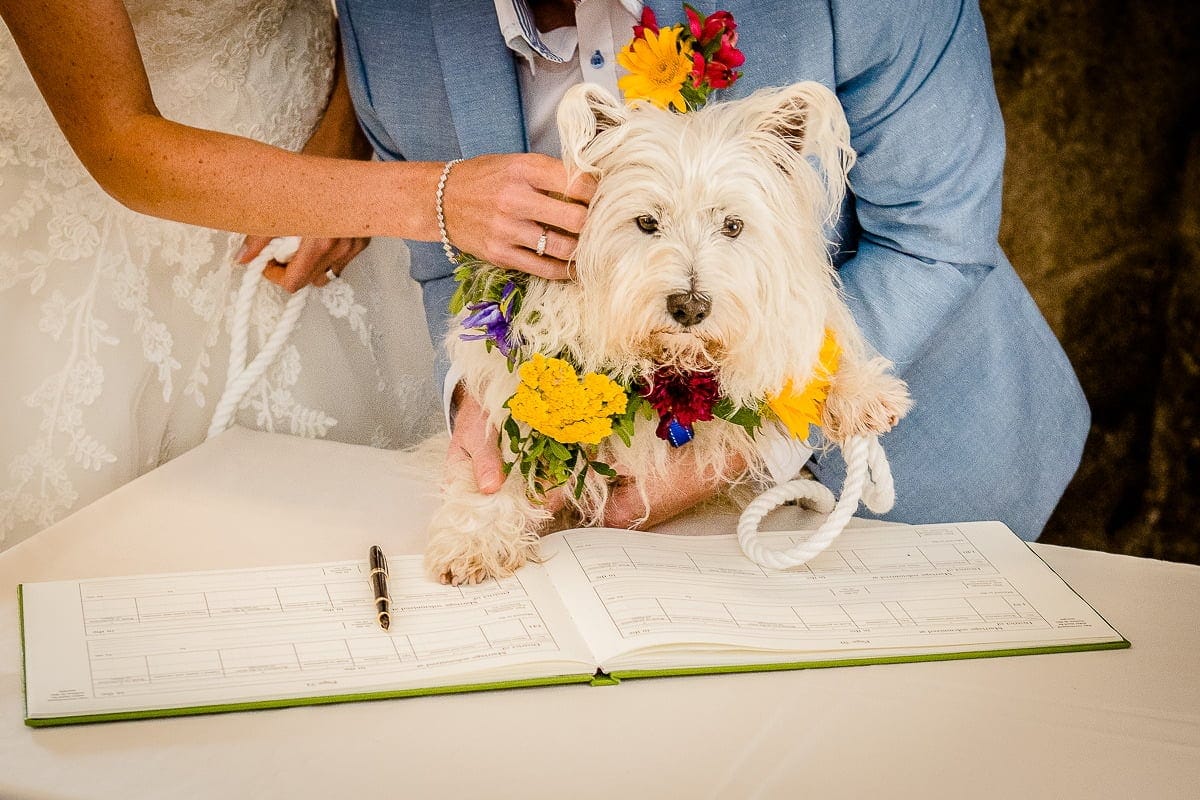 Emma & Mark - St Mawes Wedding