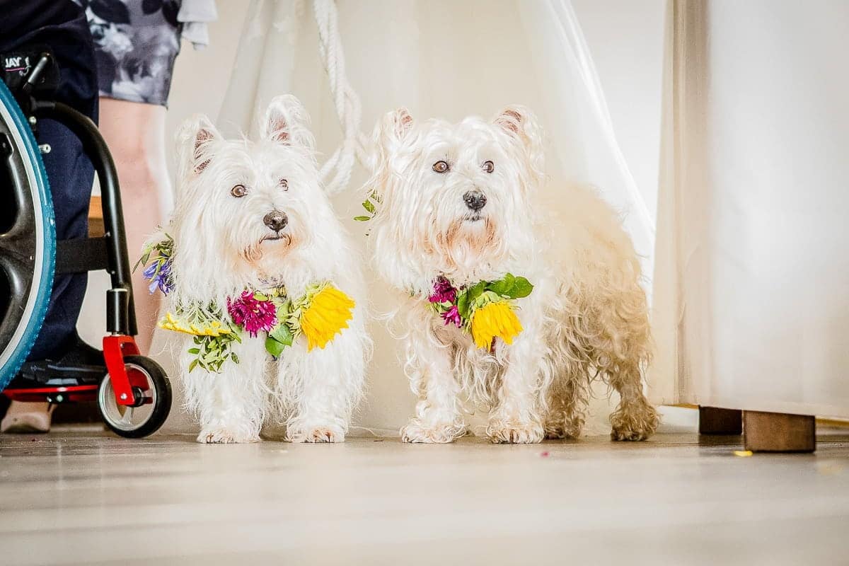 Emma & Mark - St Mawes Wedding