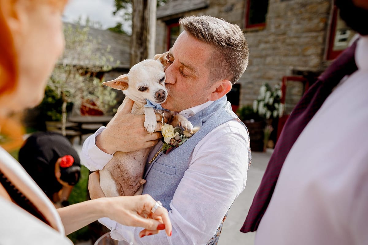 dogs at weddings