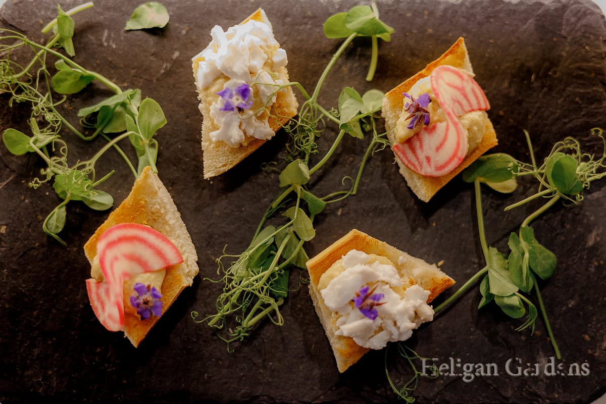 lost gardens of heligan wedding food