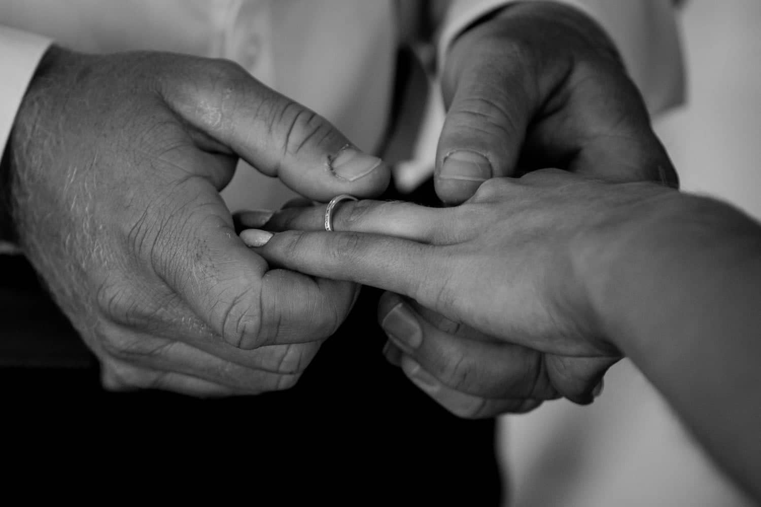 Best of 2019 - Wedding Photographer Cornwall