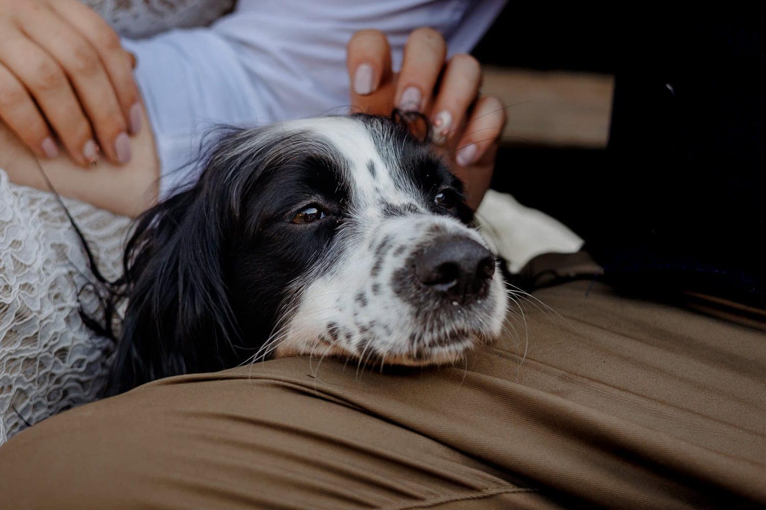 Rumleigh Farm Wedding