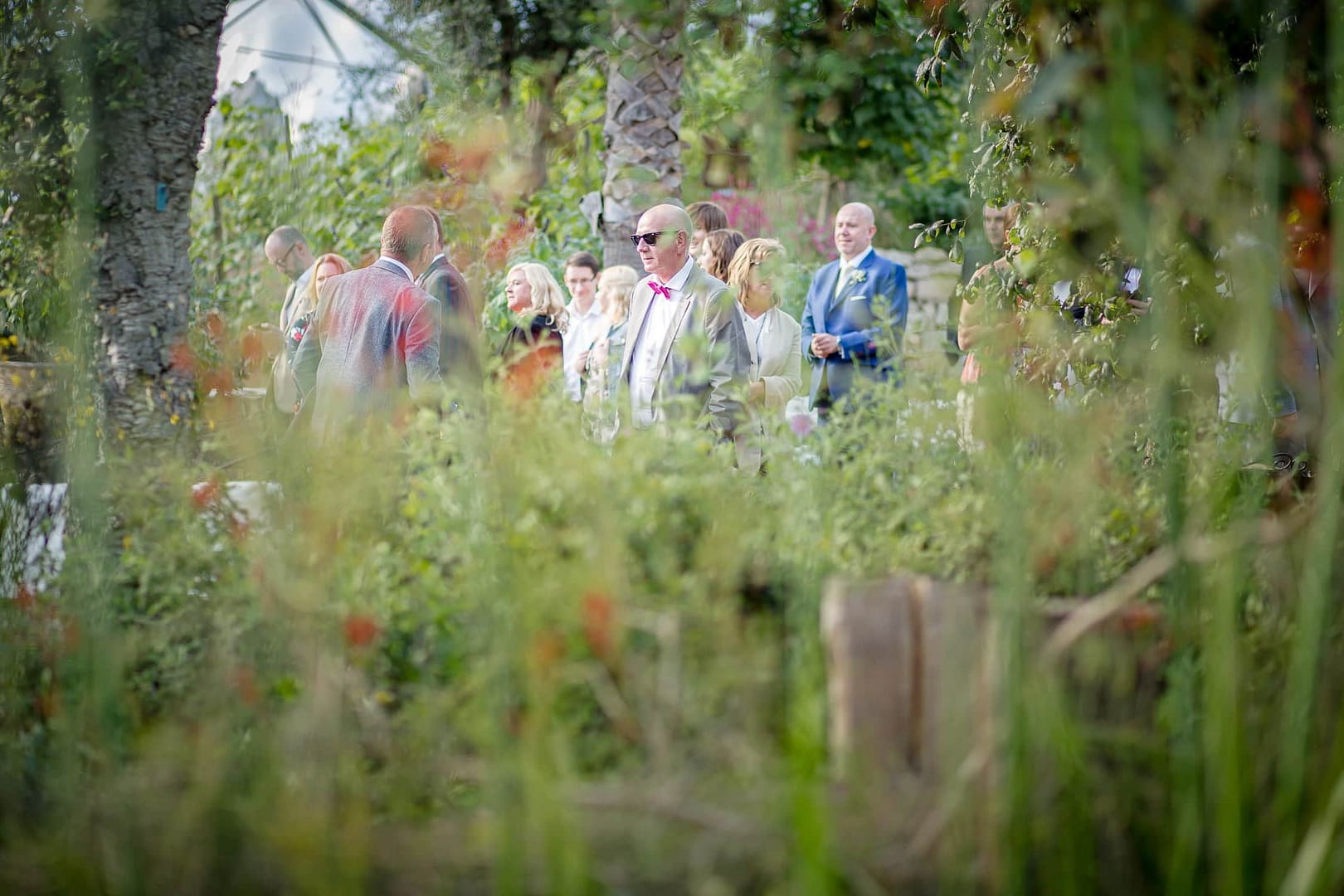 eden project wedding