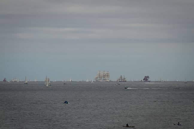 tall-ships-32a
