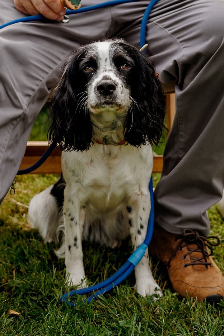 Rumleigh Farm Wedding