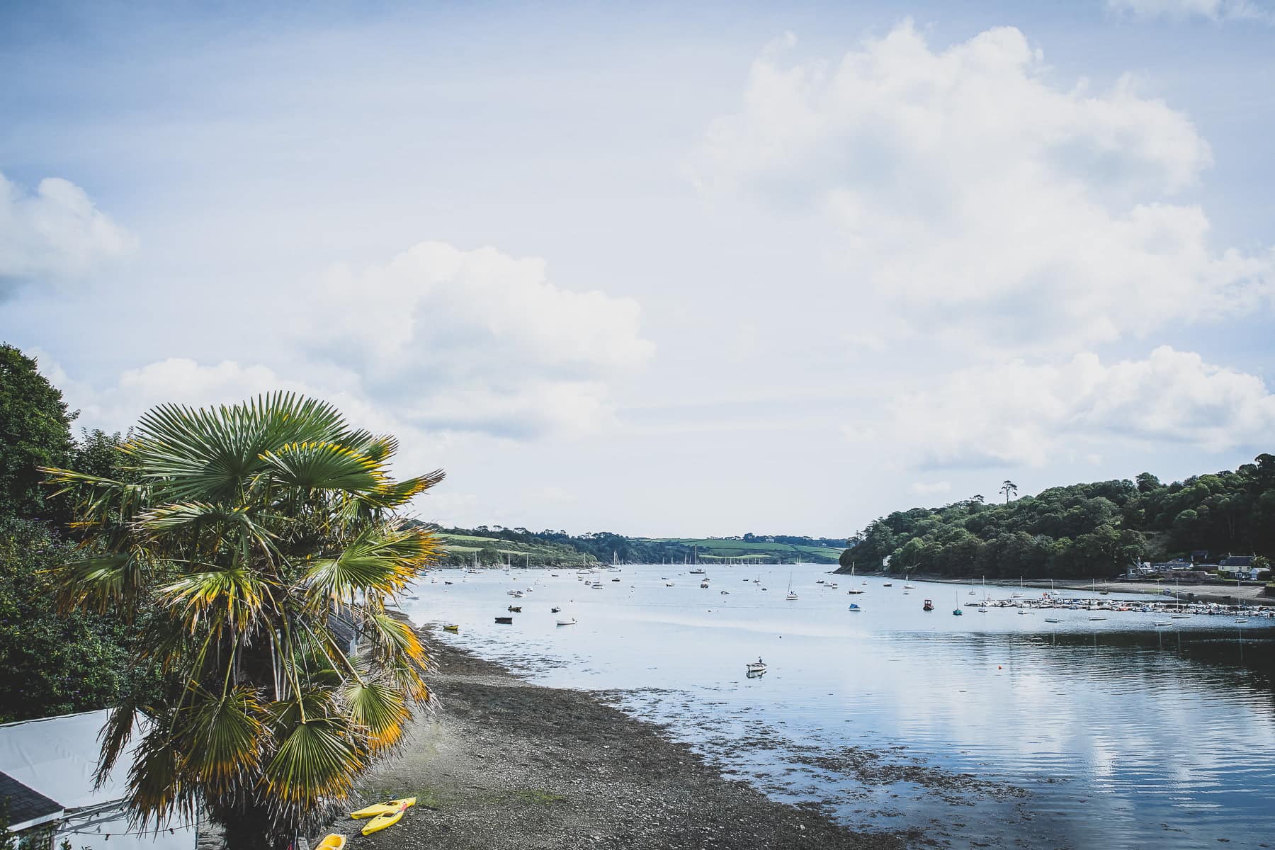 Cornish Camels Wedding