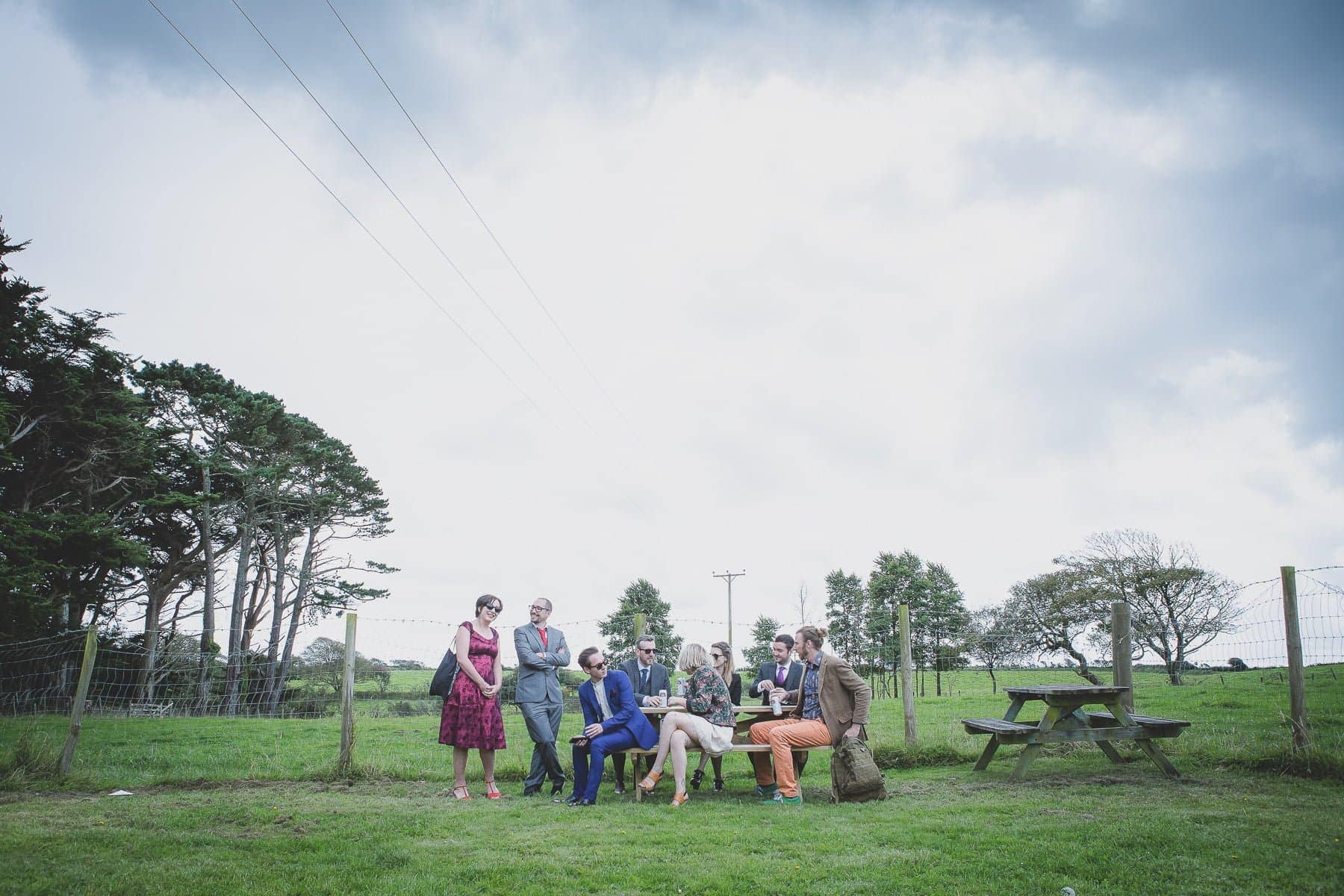 Cornish Camels Wedding