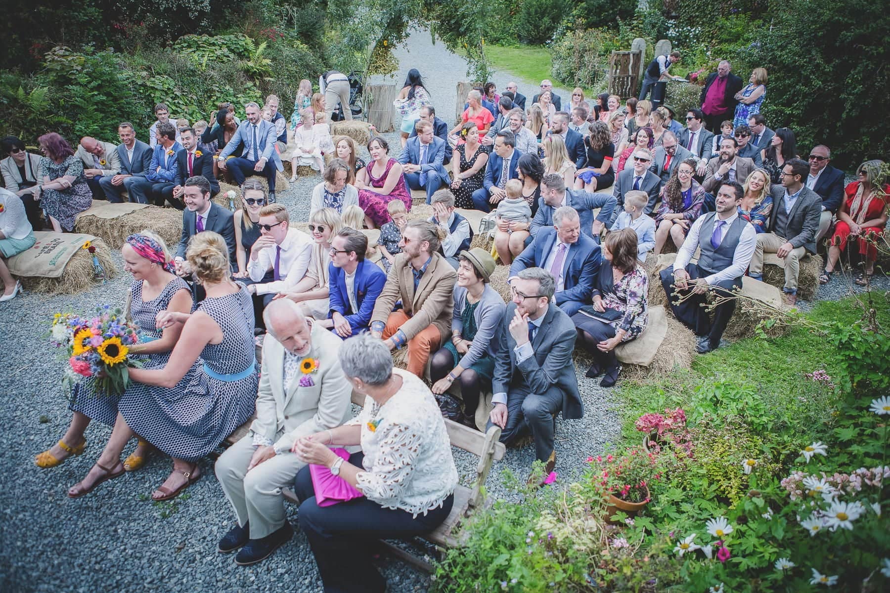 Cornish Camels Wedding