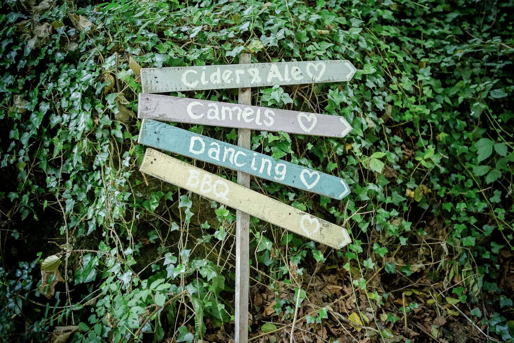 Cornish Camels Wedding