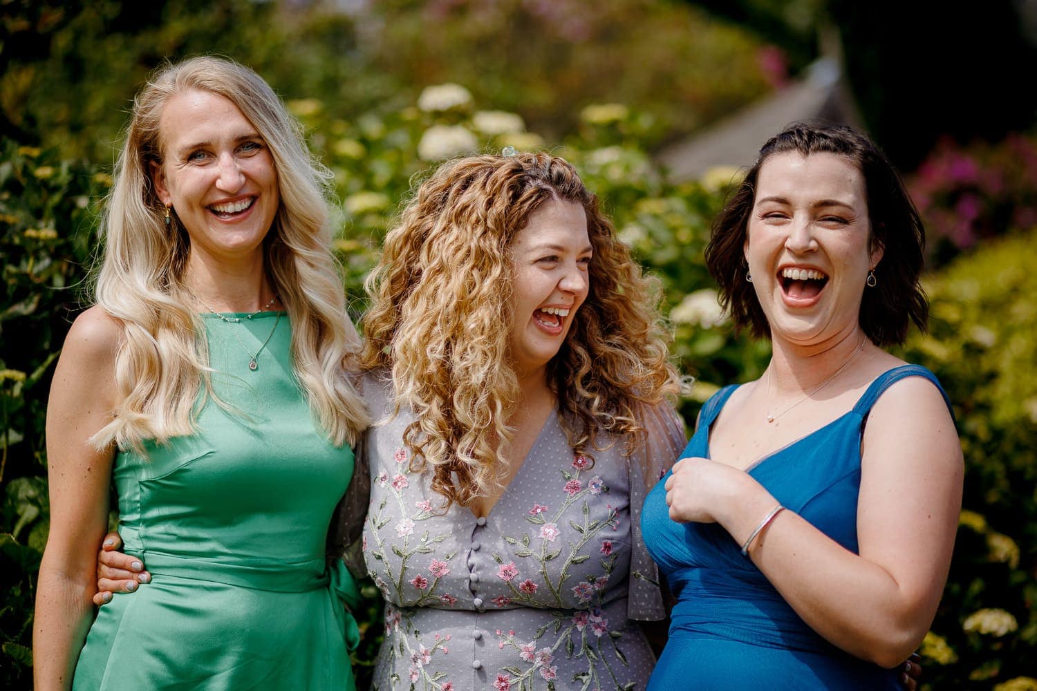 Wedding Guests Dartmoor