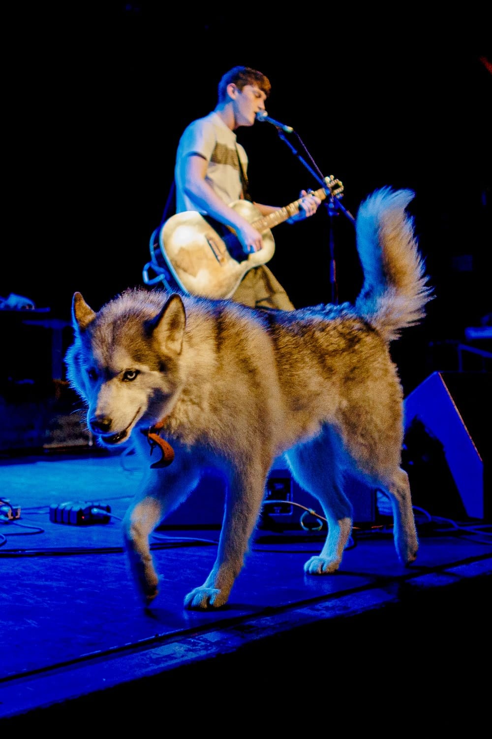 princess pavilion falmouth